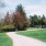 Seattle lifestyle living near Eleanor Apartments with parks and cafes