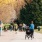 Walkable lifestyle near Eleanor Seattle apartments with urban conveniences